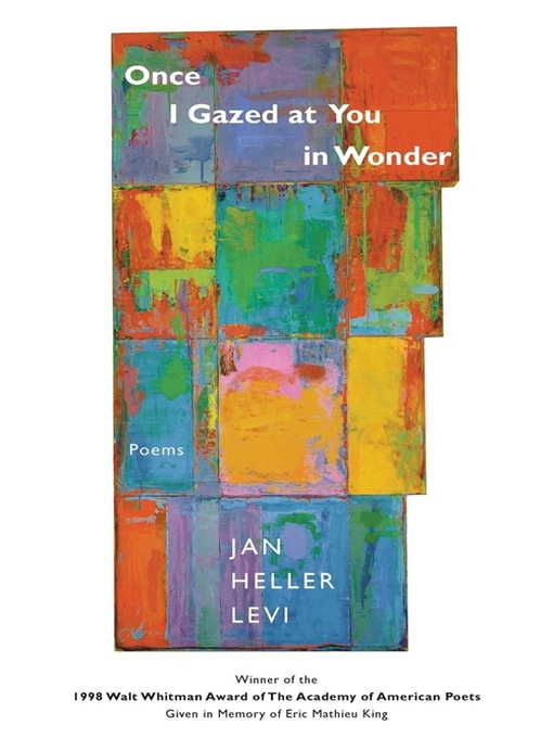 Title details for Once I Gazed at You in Wonder by Jan Heller Levi - Available